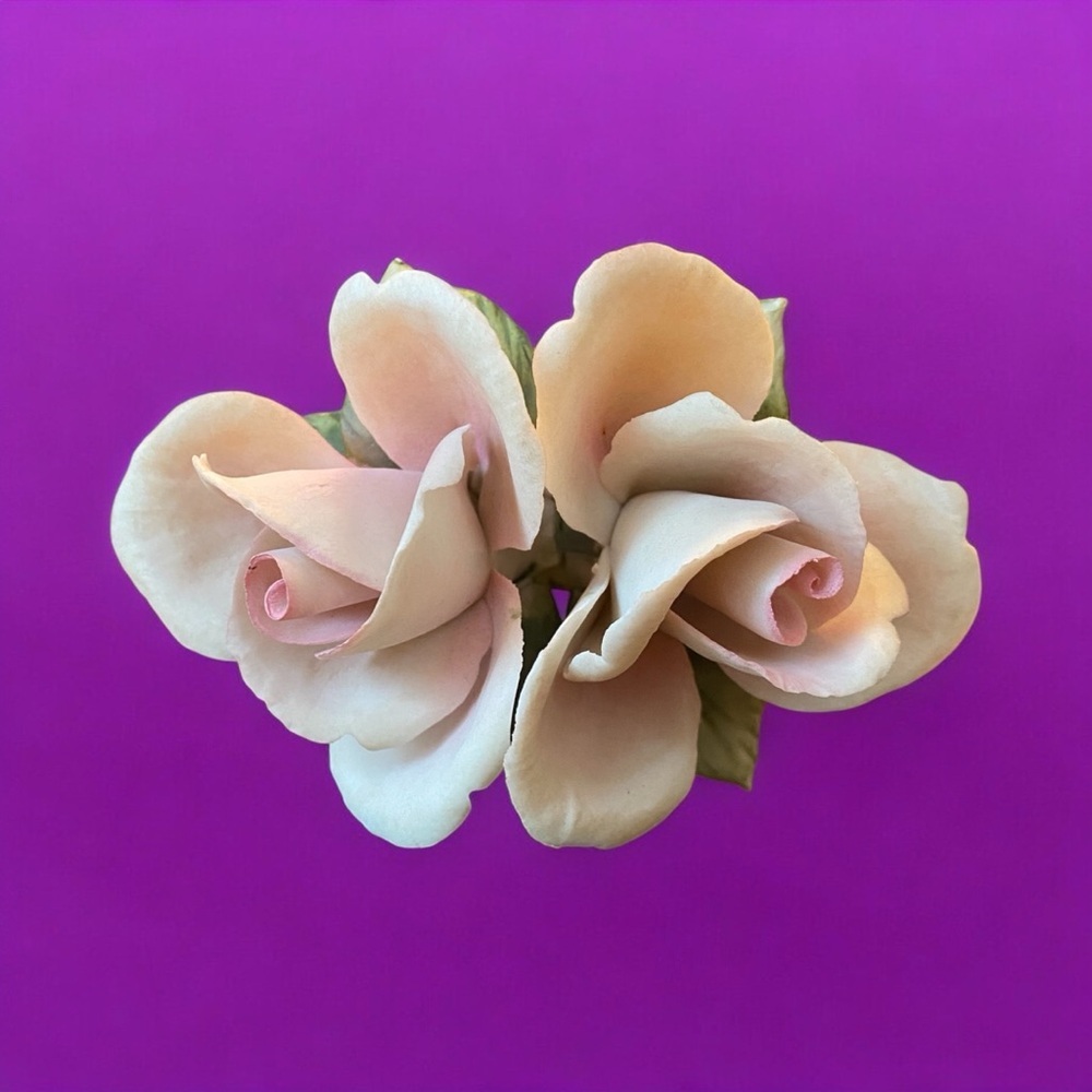 Vintage Capodimonte Italian Porcelain Roses by Ebeling & Reuss